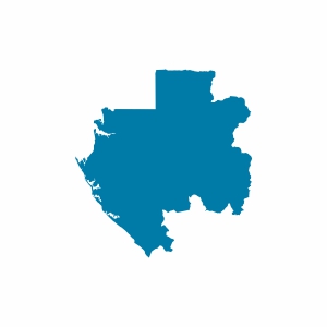 Gabon Vizesi